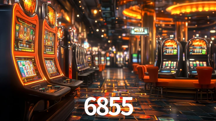 6855 App Interface